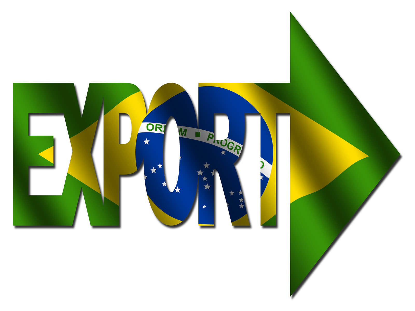 Brazilian Export Text