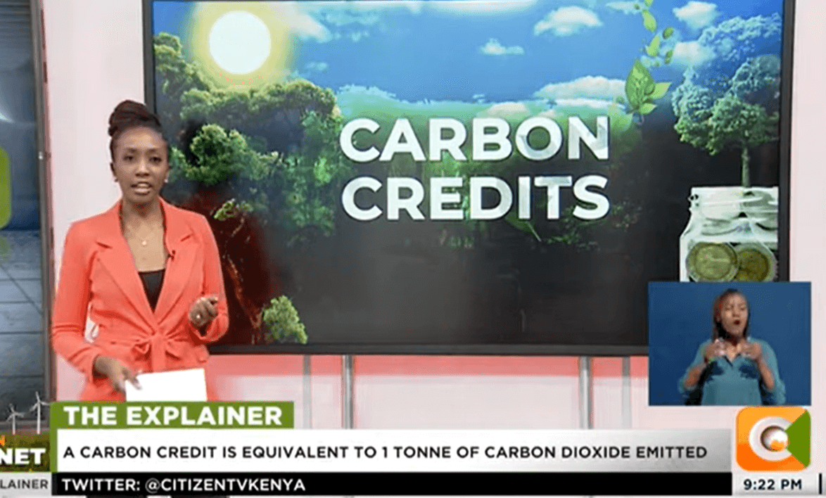 The Explainer: The carbon credits trade broken down
