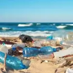 Can the problem of plastic pollution ever be solved?