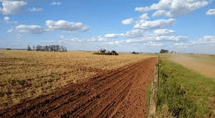 Agriculture