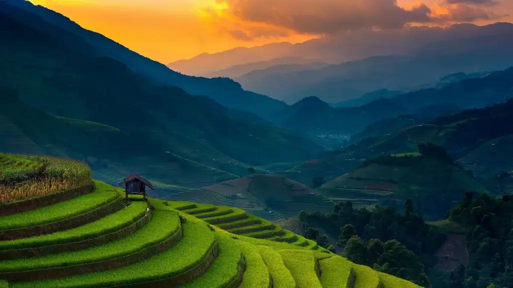 Rice Farms Landscape Philippines