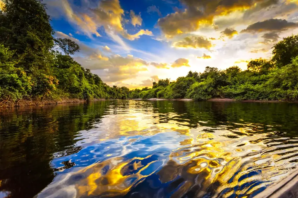 Black River