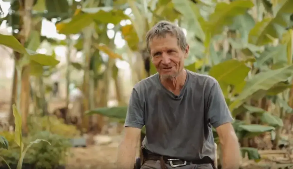 Embracing Nature’s Wisdom: Syntropical Farming and Wildfire Prevention in Brazil