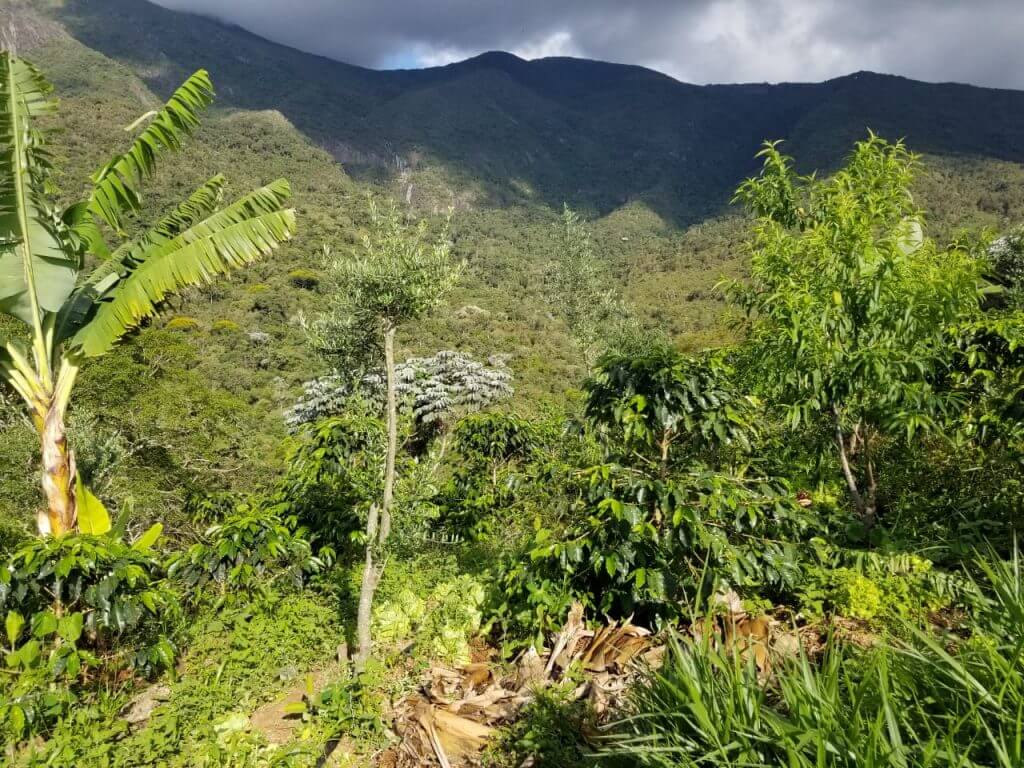 The Ranch Is Located At 1300m Altitude In The Municipality Of Alto Caparao MG