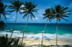 Palm Beach Png