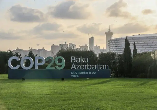 COP29