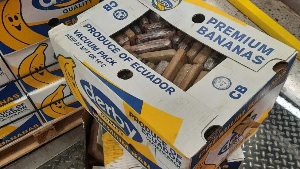 Cocaine Ecuador Banana Shipment