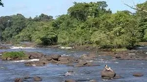 Suriname River Png