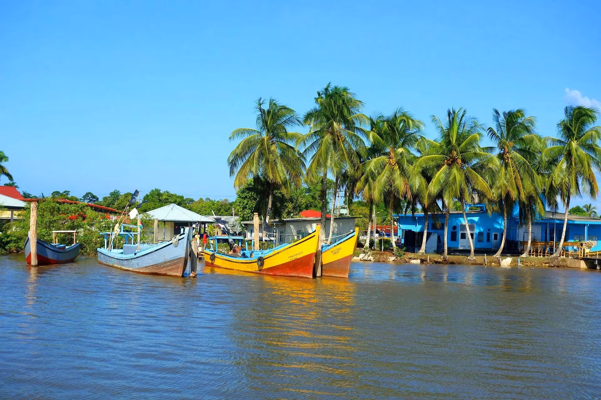 Travel To Suriname An Insiders Guide To The Best Places To Visit