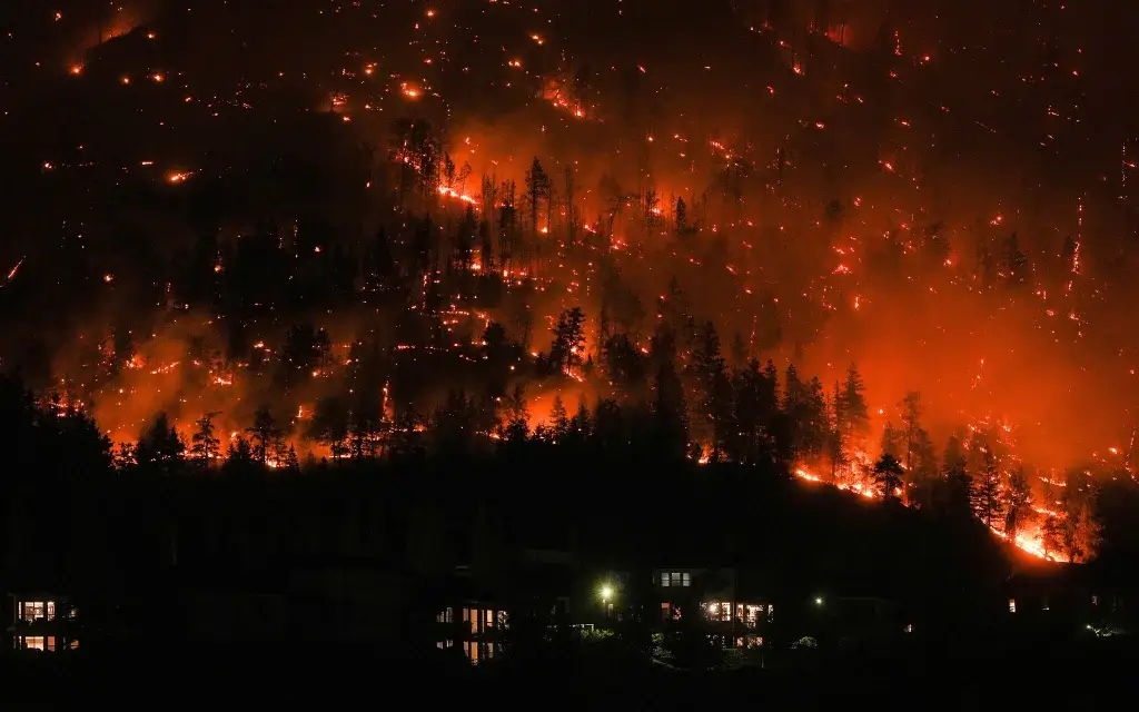 Wildfires