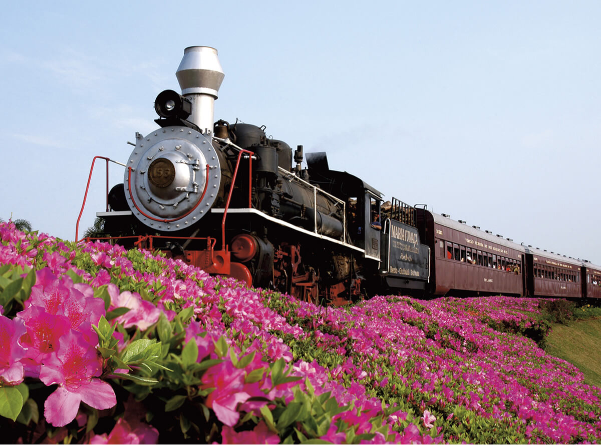 Historic Railway Trip to Wineyards