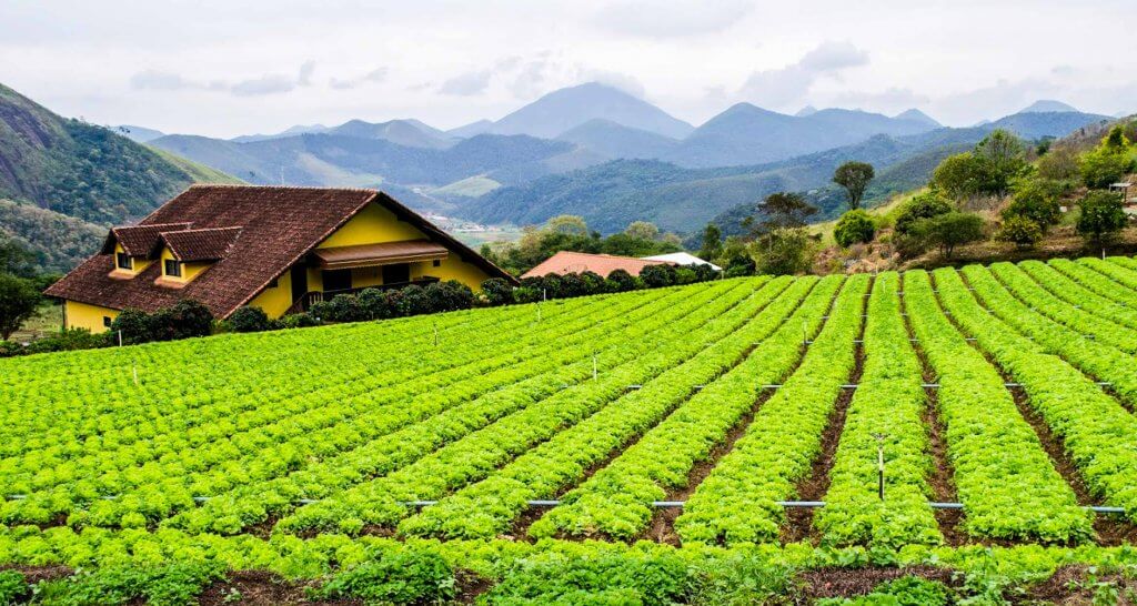 Agriculture Farm Brazil