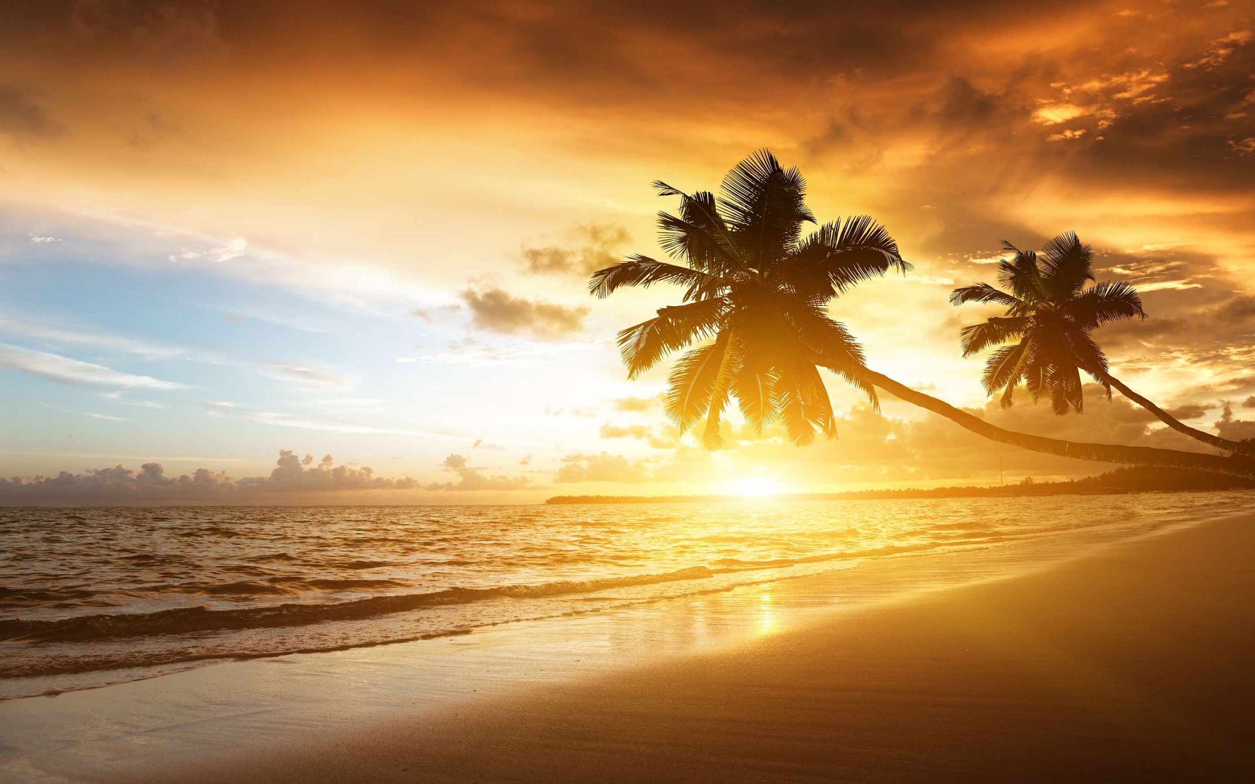 Investors news Caribbean