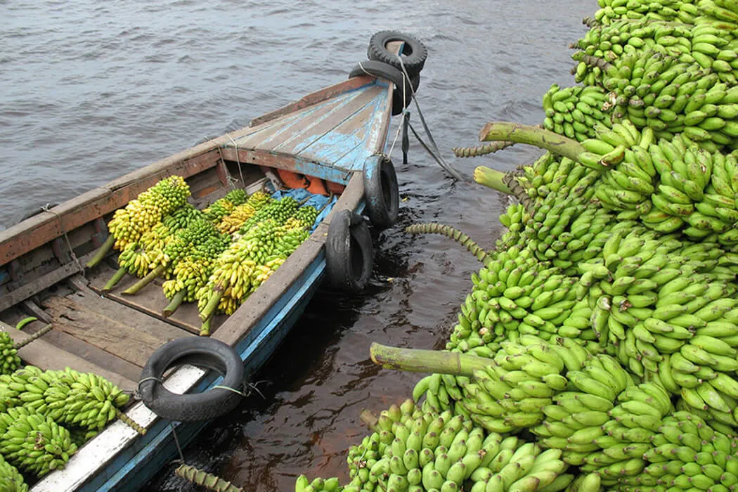 Water Risks to the Global Food System bananas